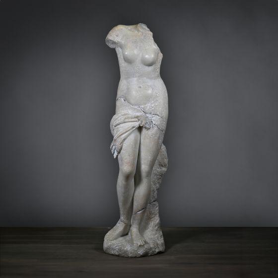 Venere nel drappo