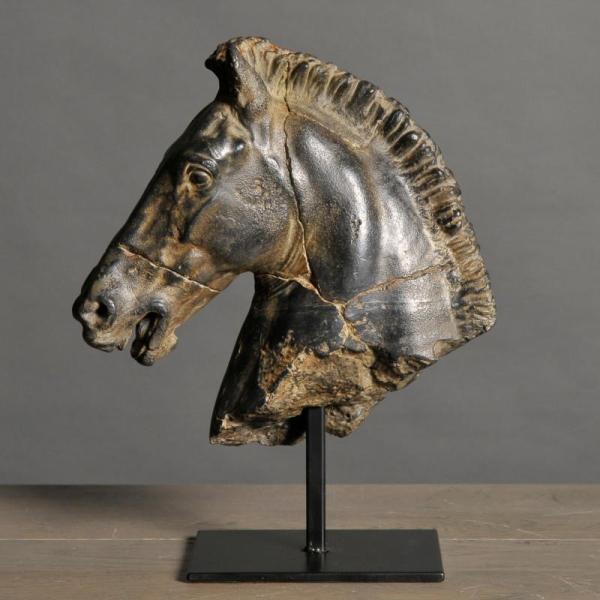 Testa di cavallo Monti nera