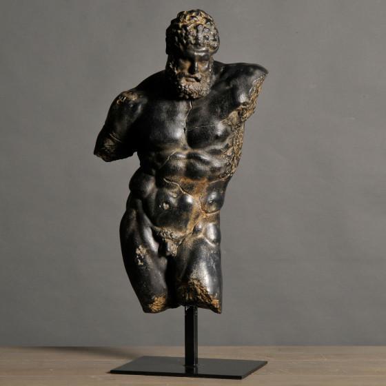 Ercole