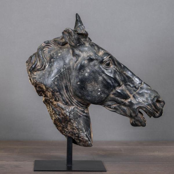 Piccolo Cavallo Nero di Selene